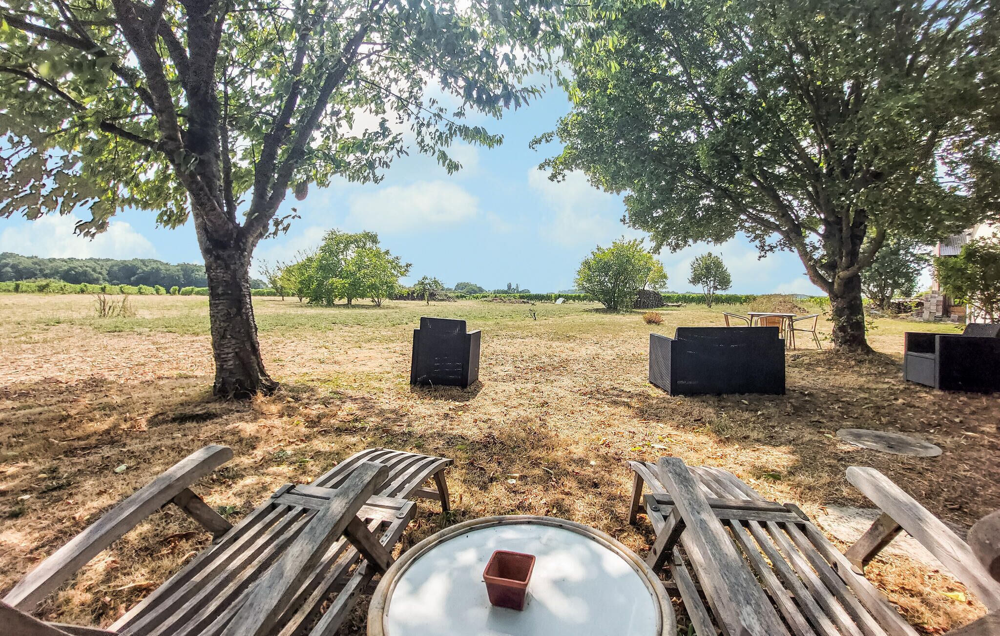 Un espacio al aire libre con sillas y mesas de madera, rodeado de árboles y campos abiertos.