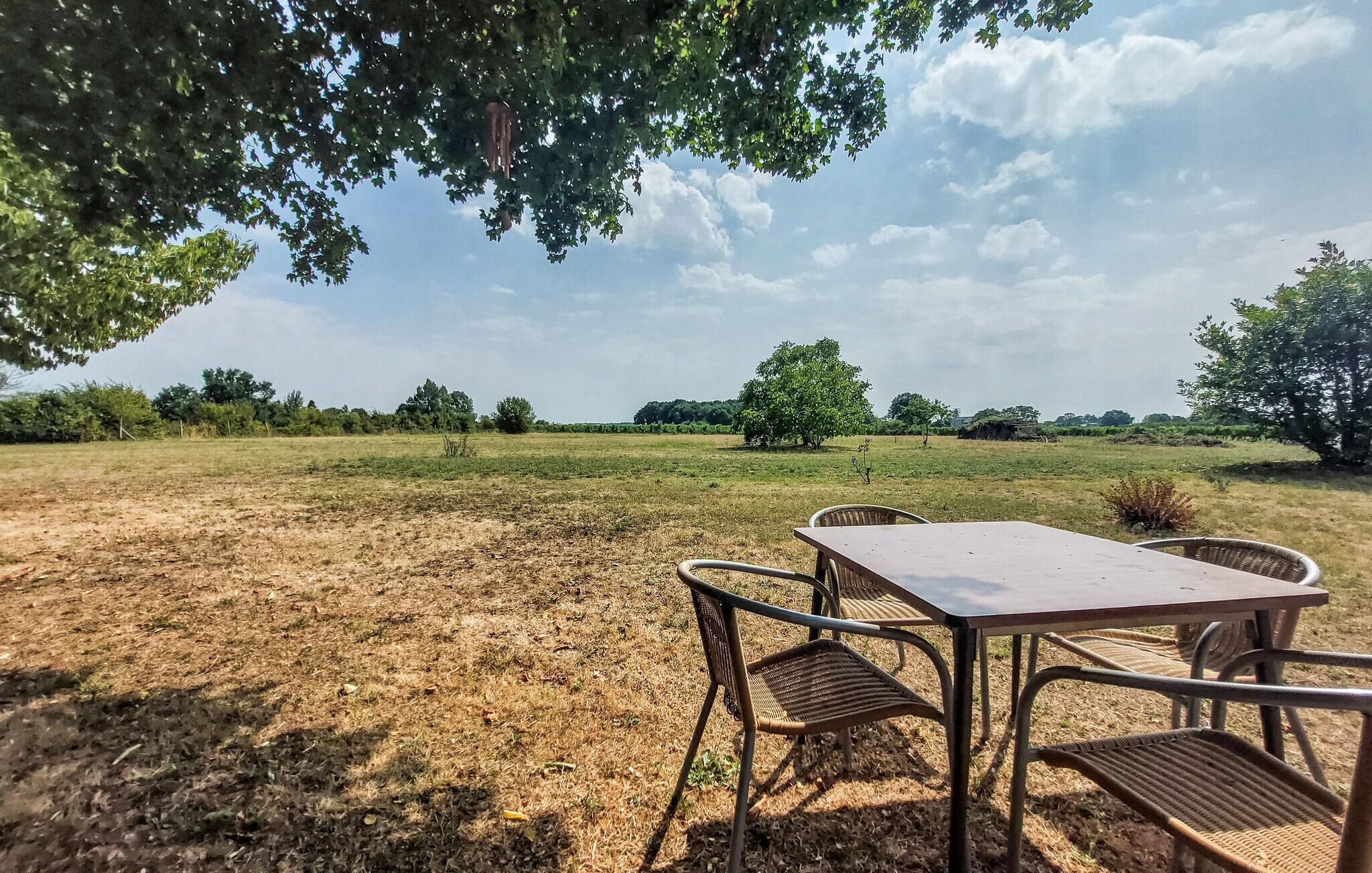 Ein Sitzbereich im Freien mit Tisch und Stühlen, umgeben von einer Wiese und Bäumen.