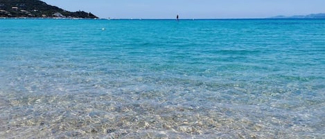 Pesca