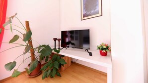 Huoneessa on seinälle asennettu televisio, ruukussa oleva viherkasvi, seinällä oleva kehystetty kuva ja pieni punainen kukkaruukku.