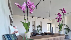 Uma receção com design moderno, rodeada por plantas verdes e orquídeas roxas.