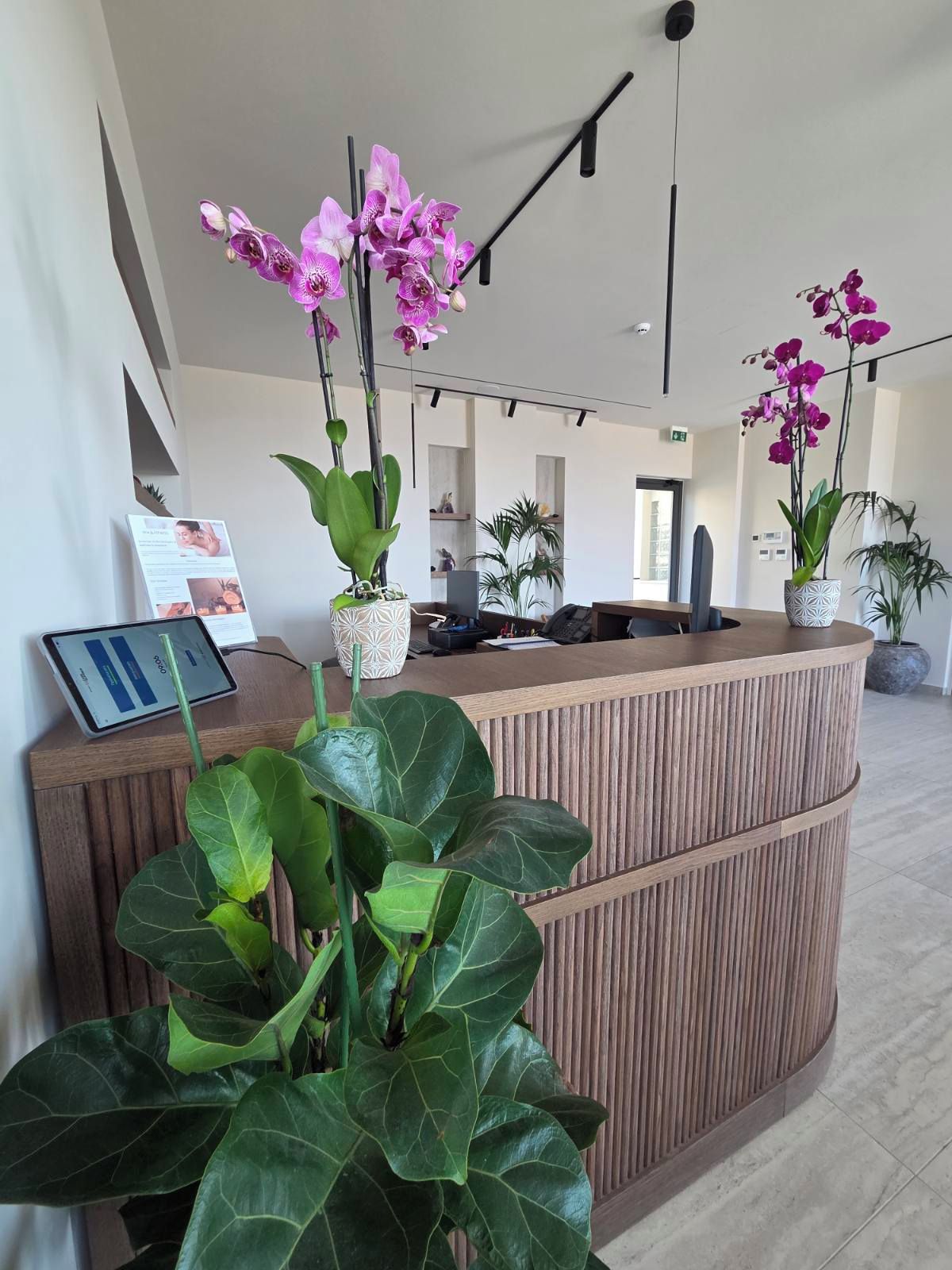 Ein Empfangsschalter mit modernem Design, umgeben von großen Grünpflanzen und violetten Orchideen.