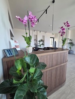 Un mostrador de recepción de diseño moderno, rodeado de grandes plantas verdes y orquídeas púrpuras.