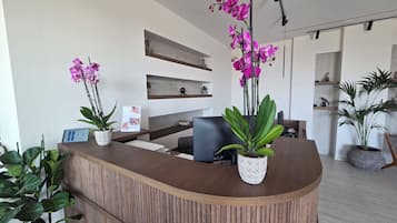 Een receptiebalie met plantenbakken, een computer en een wandplank met decoratieve objecten.