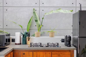A kitchen with a gas stove, a coffee maker, and three potted plants on the counter. - Villa Kartal Bahce by Pertama Stay (Badung Regency)