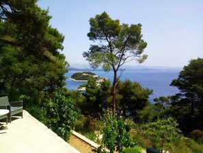 Eine Küstenlandschaft mit üppigem Grün und freiem Blick auf das Meer.