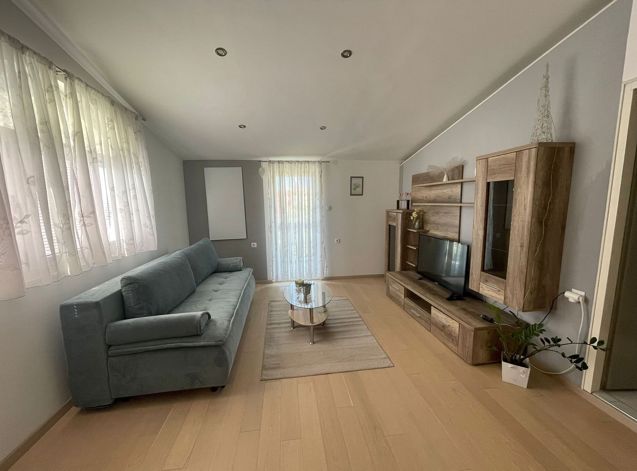 A modern living room with a grey sofa, a coffee table, a TV on a wooden stand, and a potted plant.