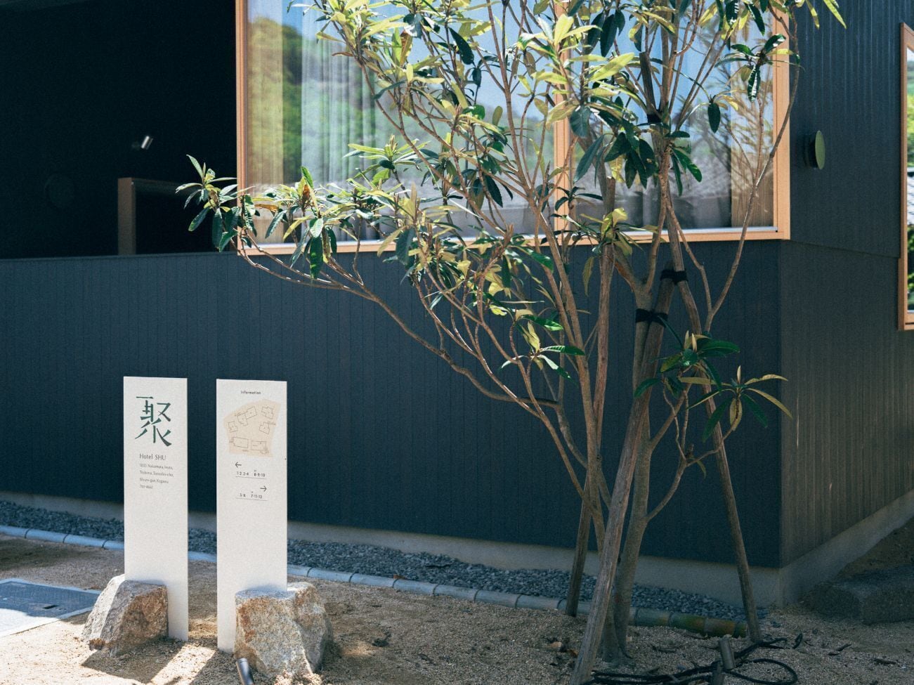 A small tree in front of a building with two informational signs beside it.