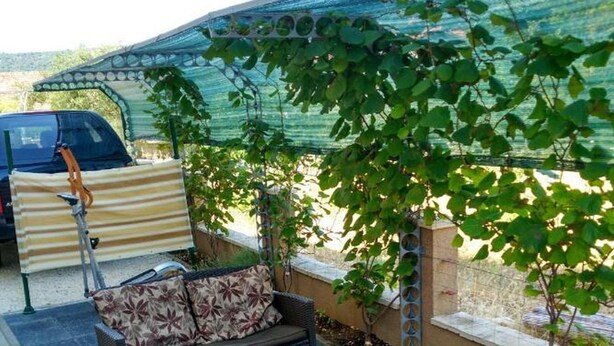 Un espacio al aire libre con mobiliario de mimbre, una mesa azul y una estructura cubierta.