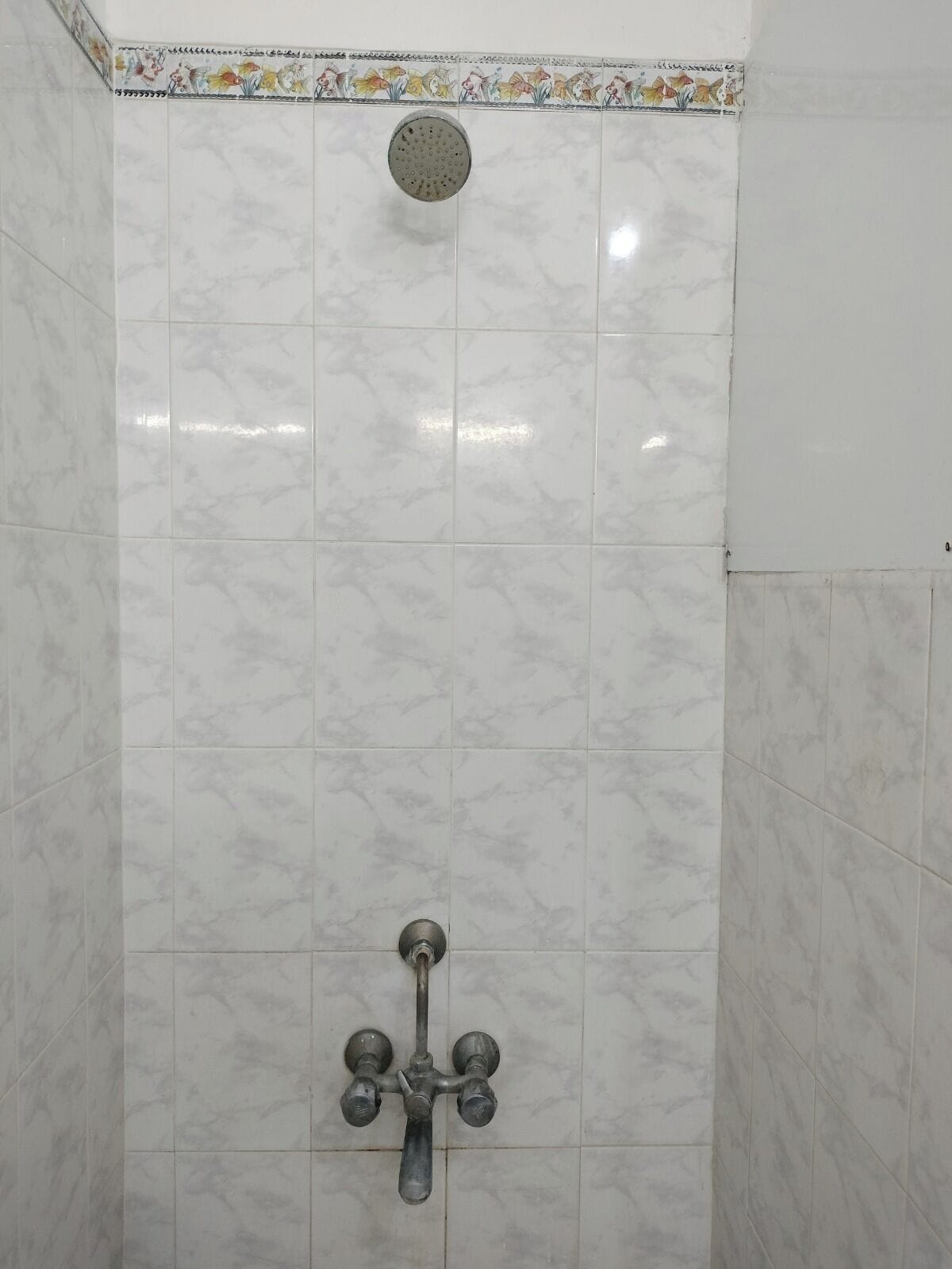 Regadera, amenidades de baño gratuitas, toallas, jabón 
