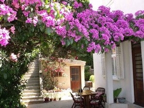Eine Terrasse mit Tisch und Stühlen, umgeben von Blumentöpfen und einem Gebäude mit Tür und Fenstern.
