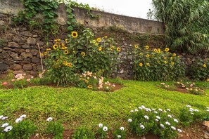 Ein Garten mit Sonnenblumen, Rosen und weißen Blüten.