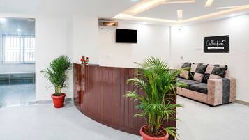 A reception area with a wooden reception desk, potted plants, a flat-screen TV, and a couch with patterned cushions.