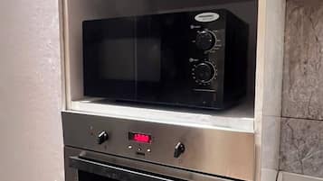Family Apartment | Private kitchen | Full-sized fridge, microwave