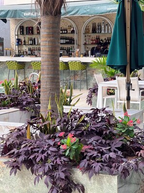 Uma área de bar com um guarda-sol verde, cadeiras brancas e diversas plantas.