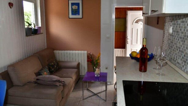 Ein Wohnzimmer mit Sofa, einem kleinen Tisch mit einer Vase sowie einer Küchenzeile mit einer Weinflasche und Gläsern.