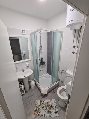 A modern bathroom with a glass-enclosed shower, a sink, a toilet, and a mirror. - Apartments Pansion Franka 3 - Apartment 9 (Gradac)