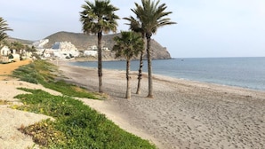Una playa con palmeras, orilla arenosa y edificios al fondo.