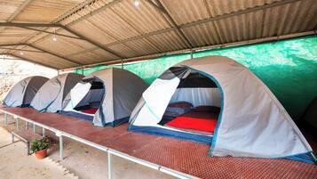 Deluxe Tent | Property grounds