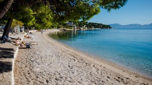 Ein Strand mit freiem Blick auf das Meer, einem sandigen Ufer und einem Baum, der Schatten spendet.