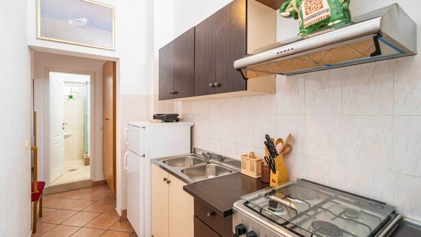 Una cuina compacta amb fogó a gas, un rentapeus i un frigorífic.