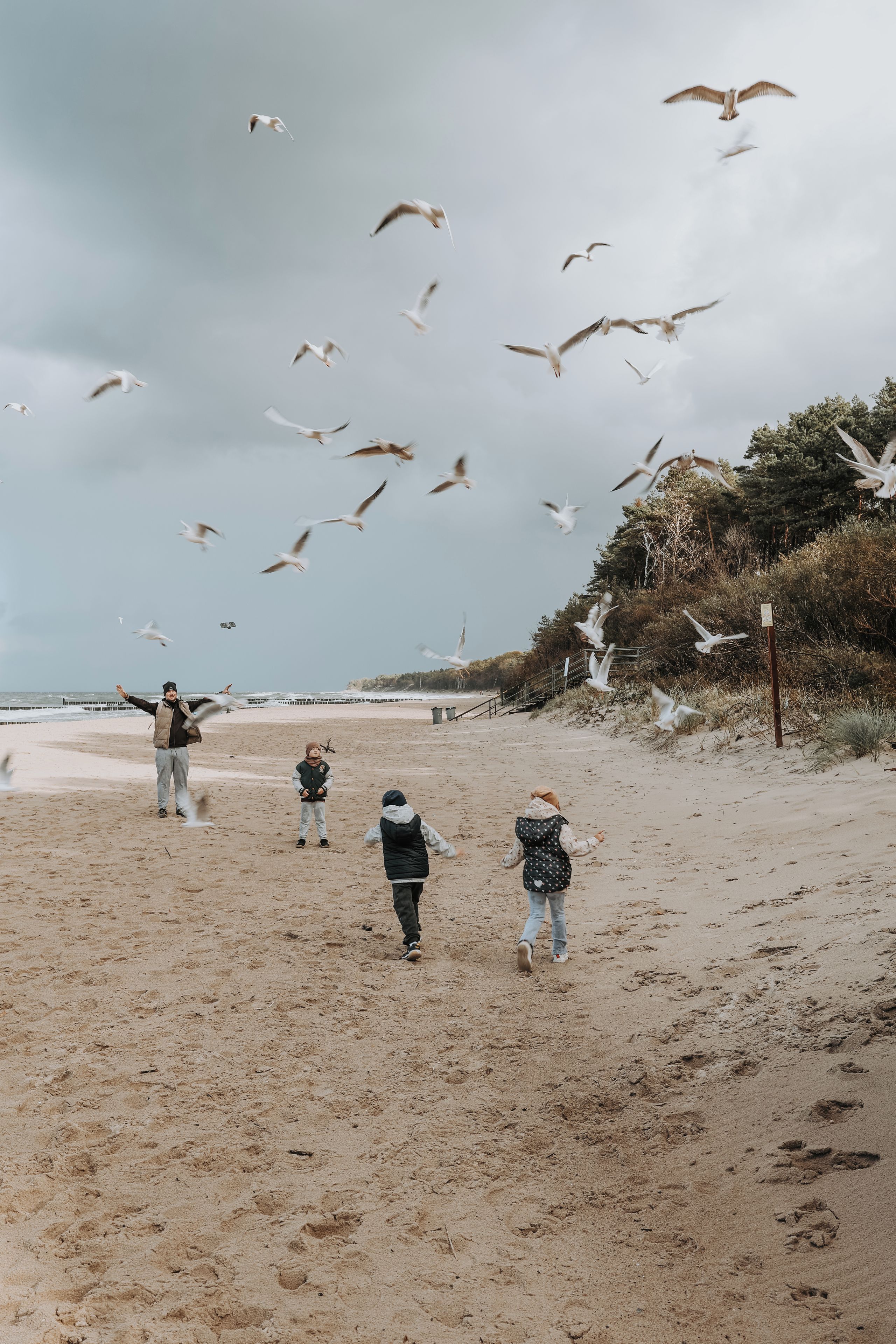 A beach scene with people and seagulls.