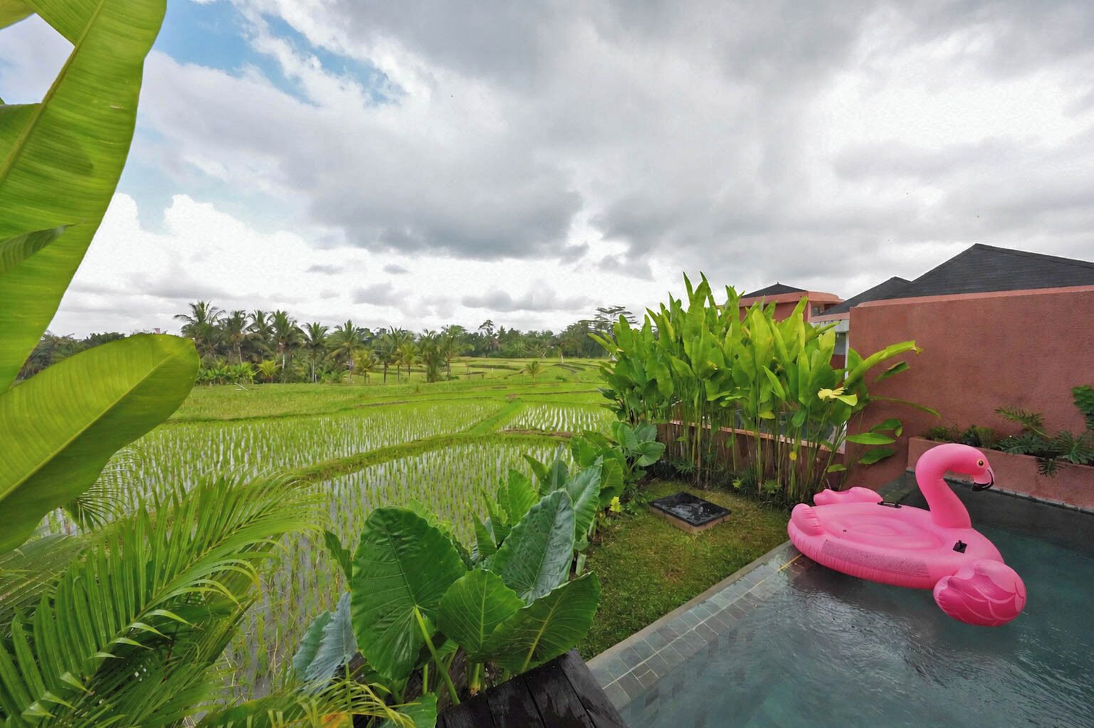 Un área de piscina con un flotador con forma de flamenco rosa, rodeada de exuberante follaje y vistas a terrazas de cultivo de arroz.