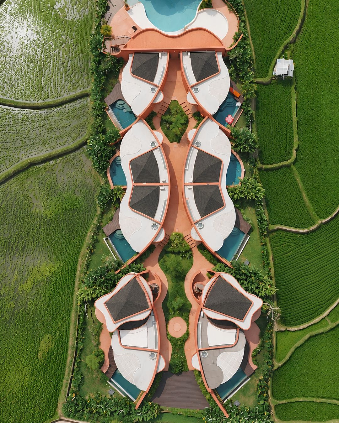 Distribución simétrica de un complejo turístico con una piscina central, rodeada de exuberantes campos verdes y varias zonas de descanso con tumbonas.