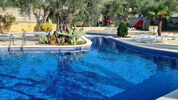 Ein Swimmingpool mit einer gefliesten Kante, umgeben von Liegestühlen und Topfpflanzen.