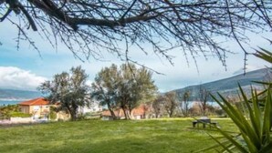 Un espace extérieur verdoyant avec un banc, des arbres et des maisons en arrière-plan.
