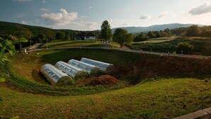 Una serra con grandi strutture cilindriche, una strada e un edificio sullo sfondo.