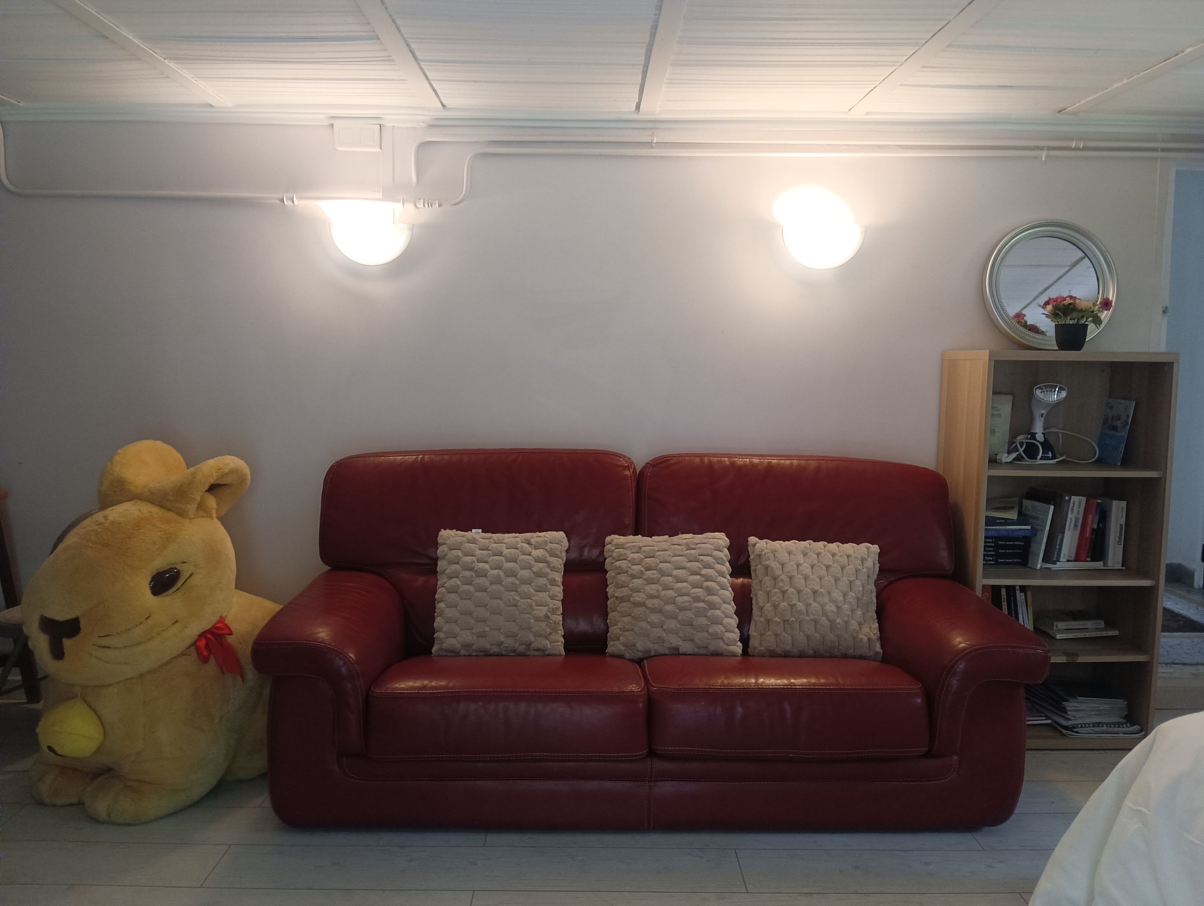 Een rode leren bank met twee kussens, een groot pluche speeltje, een boekenkast en een ronde spiegel aan de muur.