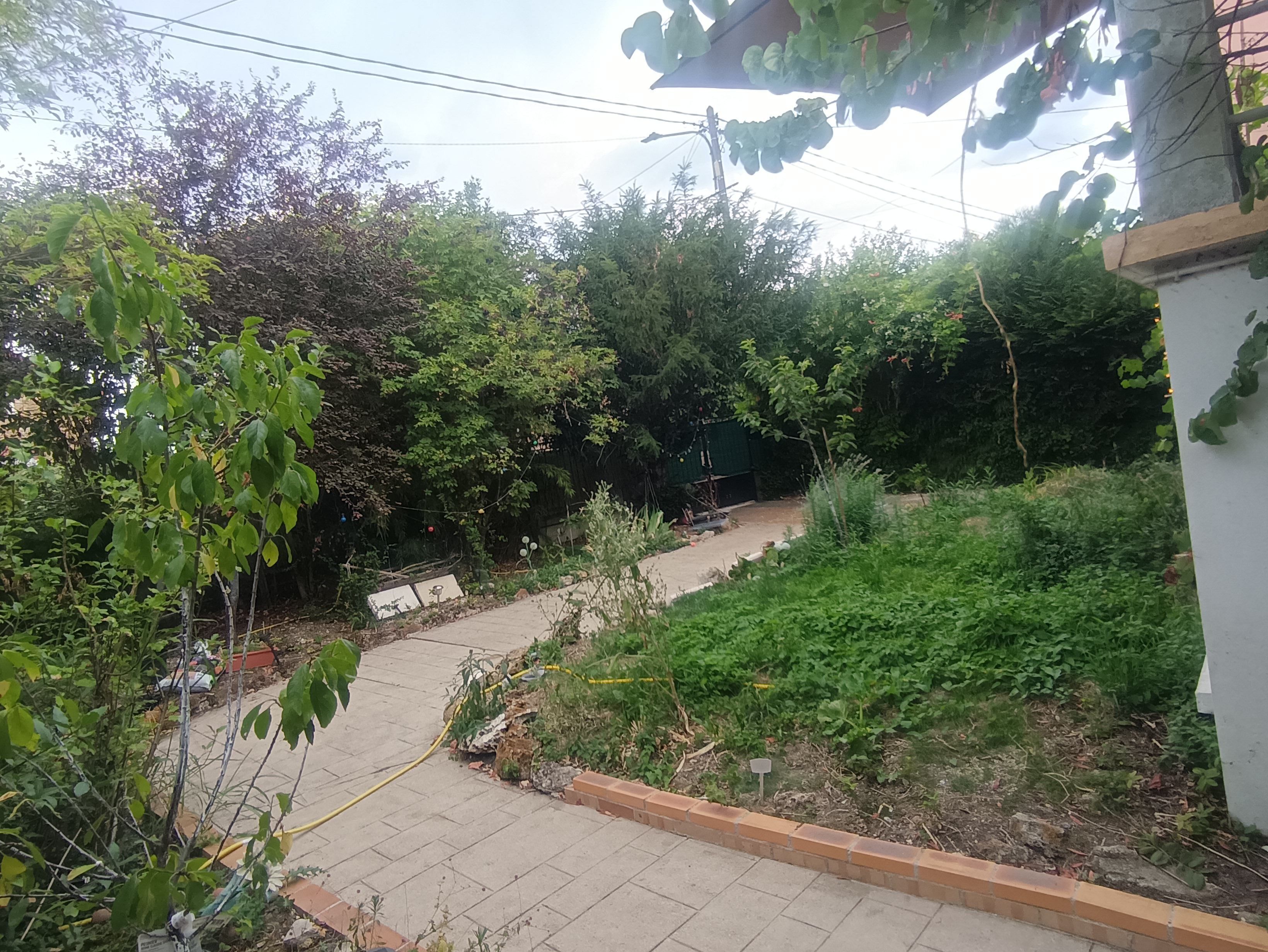 Un espace jardin aménagé avec un chemin pavé, diverses plantes et un petit abri de jardin.