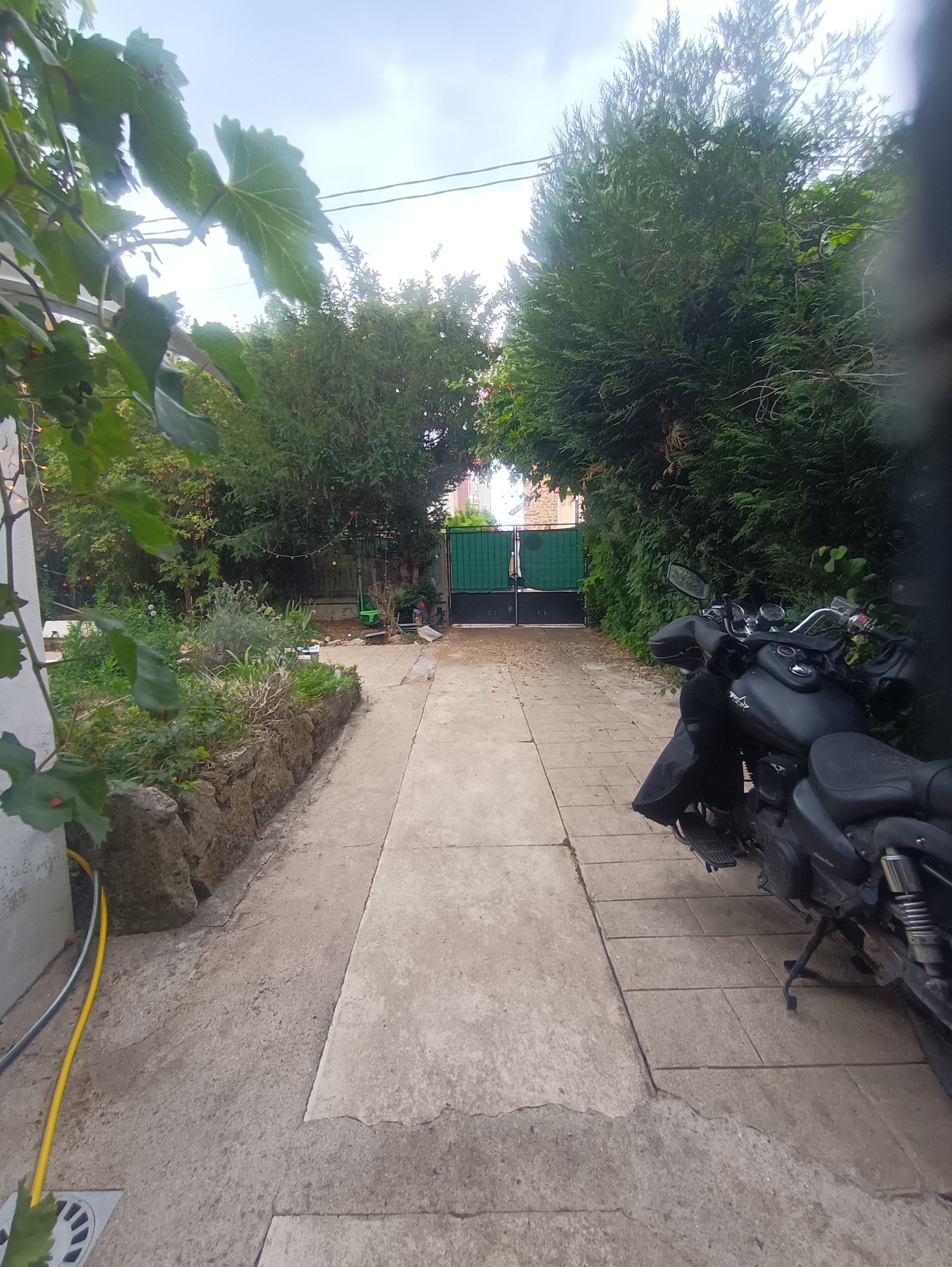 A paved backyard with a motorcycle parked on the right, a green gate in the background, and dense foliage on both sides.