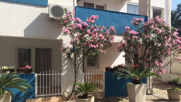 Un edificio con fachada azul, una reja blanca y macetas con flores rosadas.