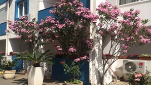 Un edificio con facciata blu e bianca, piante in vaso e un condizionatore d'aria a vista.