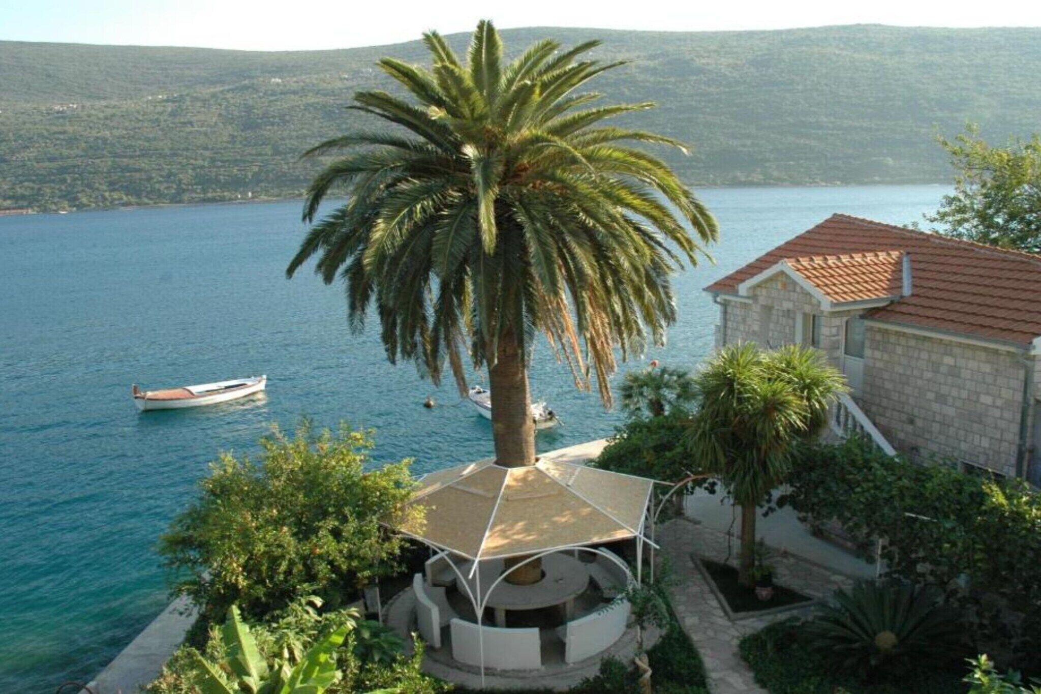 A coastal property with a palm tree, a boat on the water, and a building with a red roof.