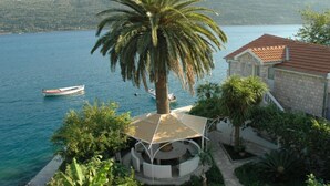 A coastal property with a palm tree, a boat on the water, and a building with a red roof. - Apartments Roza - Standard Double Room with Shared Bathroom (Herceg Novi)