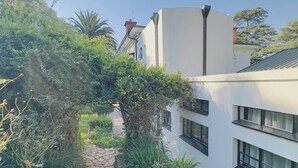 A modern building with a white facade, multiple windows, and a pathway leading to a garden area with various plants and a small tree. - Double Self-Contained Room (Johannesburg)