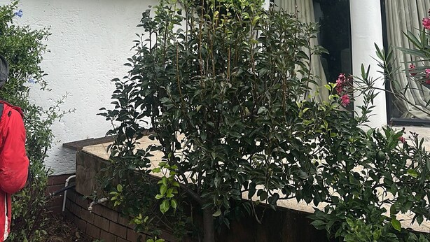 A two-story building with a white exterior, a balcony with a metal railing, and large windows with curtains. - Double Self-Contained Room (Johannesburg)