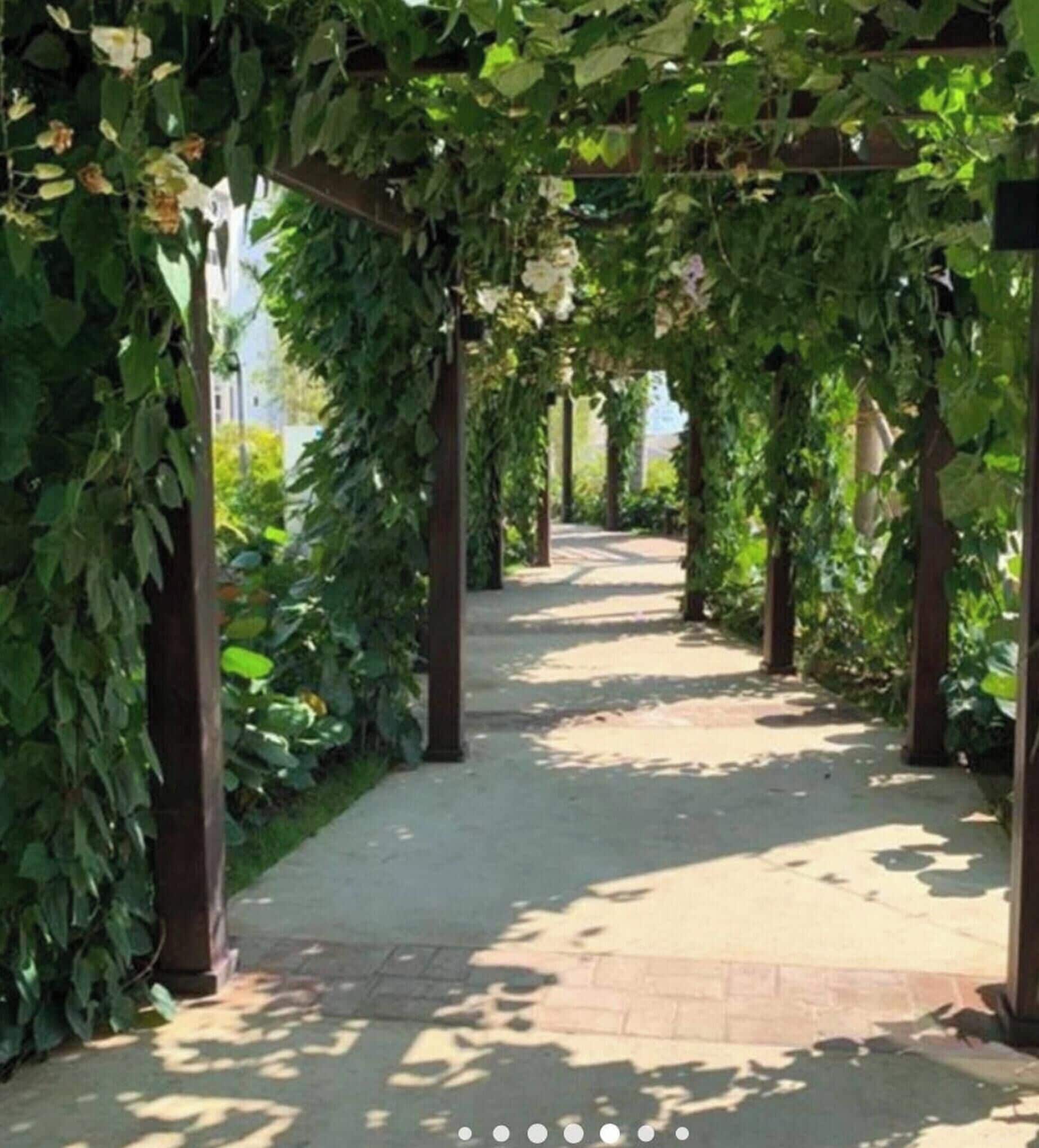 A pathway lined with greenery and a pergola structure.