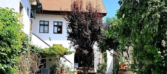 Apartments at DrugoHof in Röschitz, Farm Stay