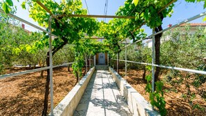 A vineyard pathway with rows of grapevines supported by a metal structure. - Apartments Ivana - Studio With Balcony and Sea View (Trogir)