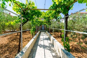 A vineyard pathway with rows of grapevines supported by a metal structure. - Apartments Ivana - Studio With Balcony and Sea View (Trogir)