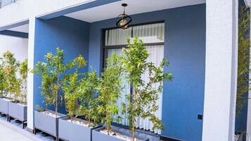 Exterior moderno de un edificio con fachada azul, varios maceteros con follaje y una ventana con persianas.