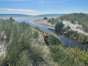 Eine Küstenlandschaft mit einer schmalen Wasserstraße, Sandflächen und dichtem Gras.