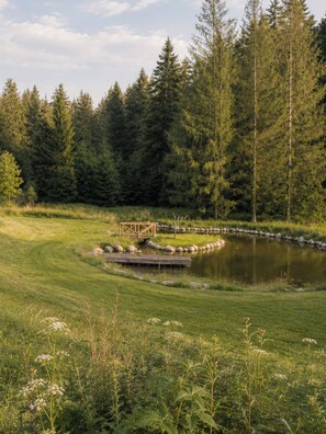 Property grounds - Secluded Group House | Sauna | 23 Guests | Thuringian Forest near Oberhof (Steinbach-Hallenberg)