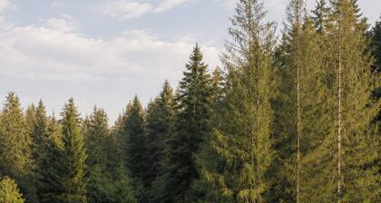 Secluded Group House | Sauna | 23 Guests | Thuringian Forest near Oberhof