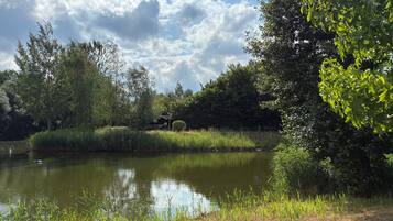A tranquil pond surrounded by lush greenery and trees, with a clear sky above.