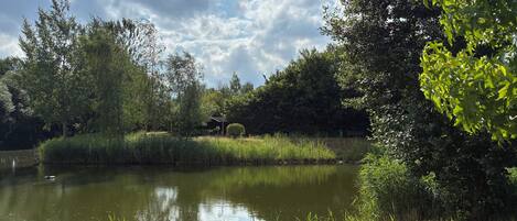 A tranquil pond surrounded by lush greenery and trees, with a clear sky above.